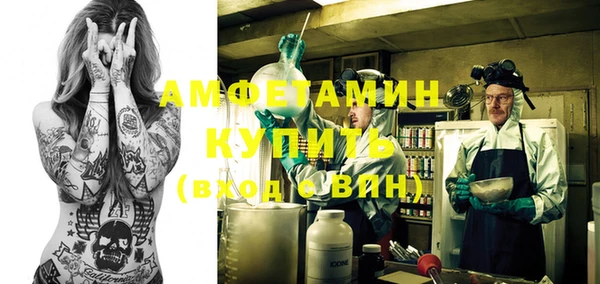 шишки Лагань