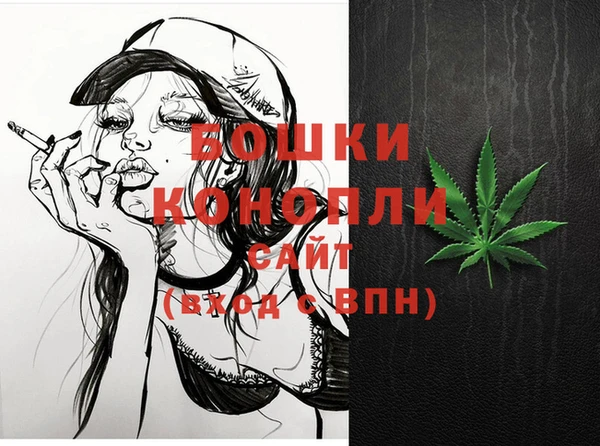 шишки Лагань