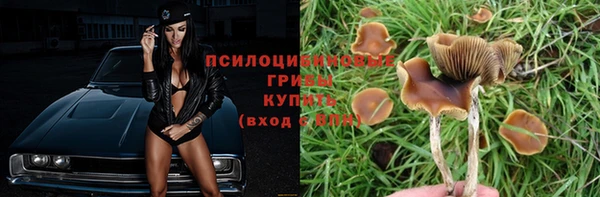 мяу мяу кристалл Ладушкин